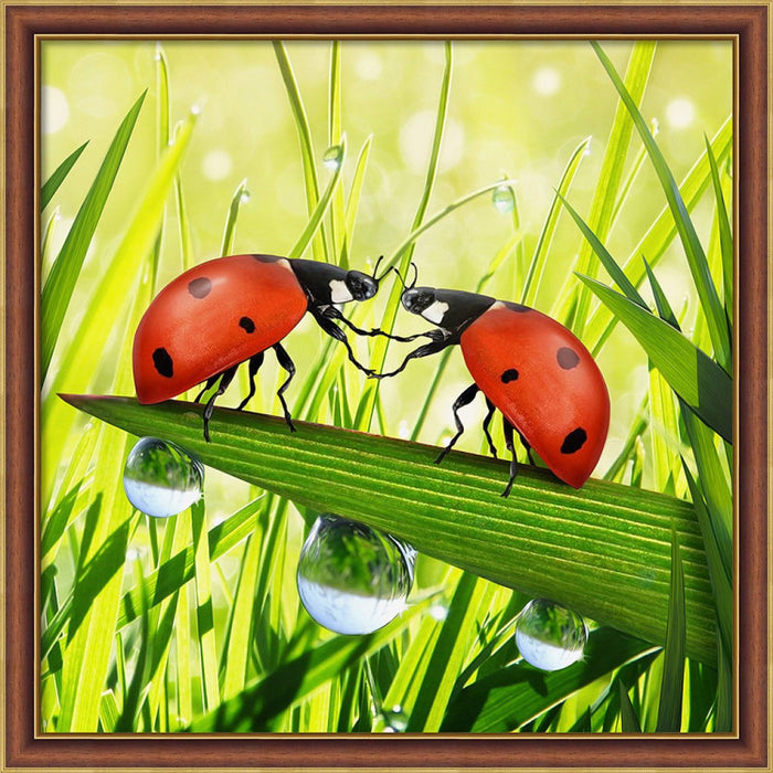 Diamond Painting Kit - LADYBUG COUPLE 25X25 CM AZ-1787