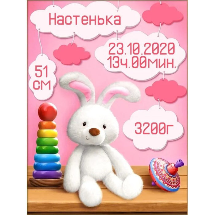 Diamond Painting Kit - METRIC FOR A GIRL WITH BUNNY 30*40 CM AZ-1902