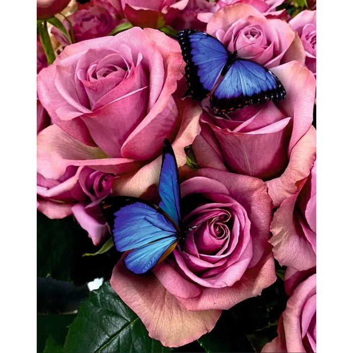 DIAMOND PAINTING WITH SUBFRAME "LOVELY ROSES" 40*50 CM DP010