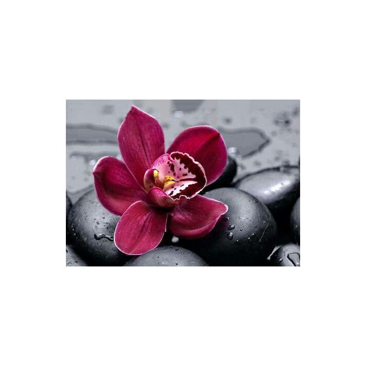 Diamond Painting Kit - ROYAL ORCHID 38*27 CM WD036