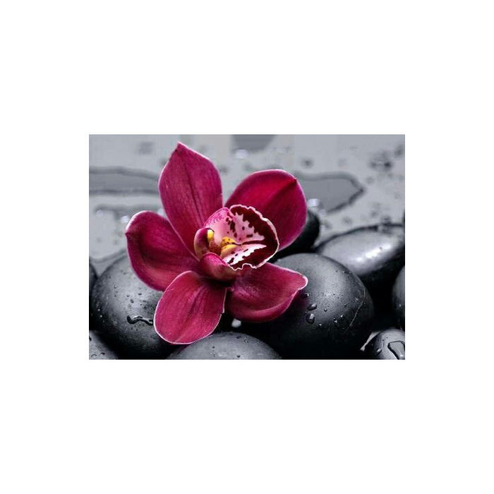 Diamond Painting Kit - ROYAL ORCHID 38*27 CM WD036