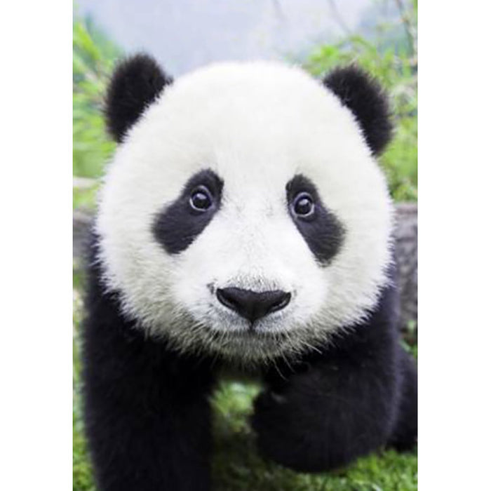 Diamond Painting Kit - CURIOUS PANDA 20*30 CM WD074