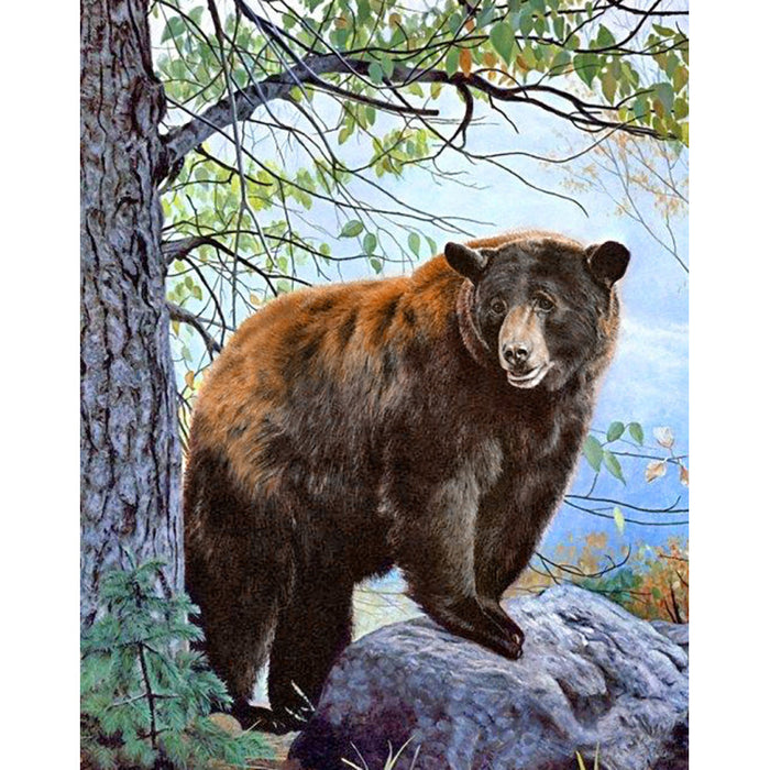 Diamond Painting Kit - BROWN BEAR 38*48 CM WD083