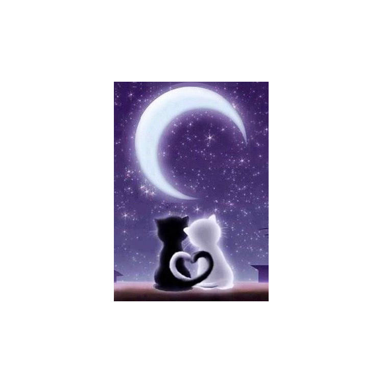 Diamond Painting Kit - UNDER THE MOON 20 _ 30 CM WD204