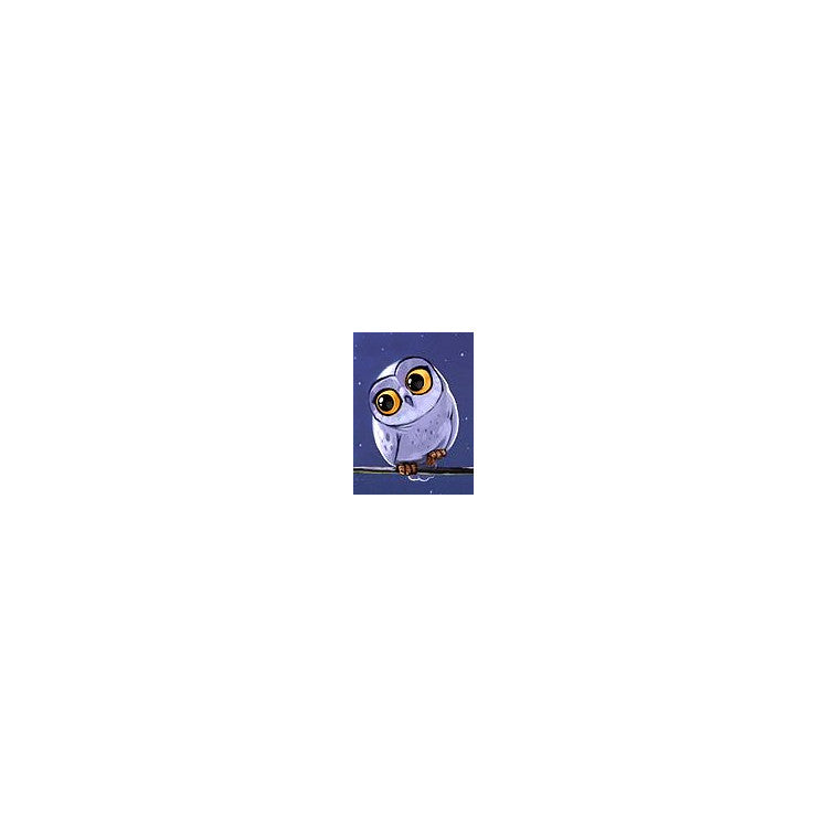 Diamond Painting Kit - OWLET 15*20 CM WD278