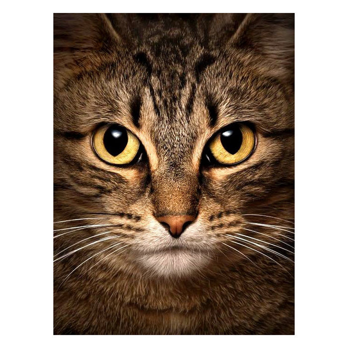 Diamond Painting Kit - WISE CAT 15*20 CM WD280