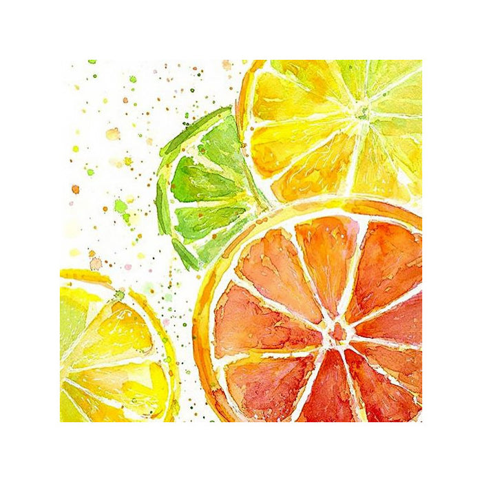 Diamond Painting Kit - CITRUS MIX 20*20 CM WD289