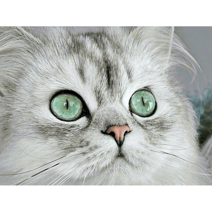 Diamond Painting Kit - MAGNETIC EYES 40*30 CM WD3000