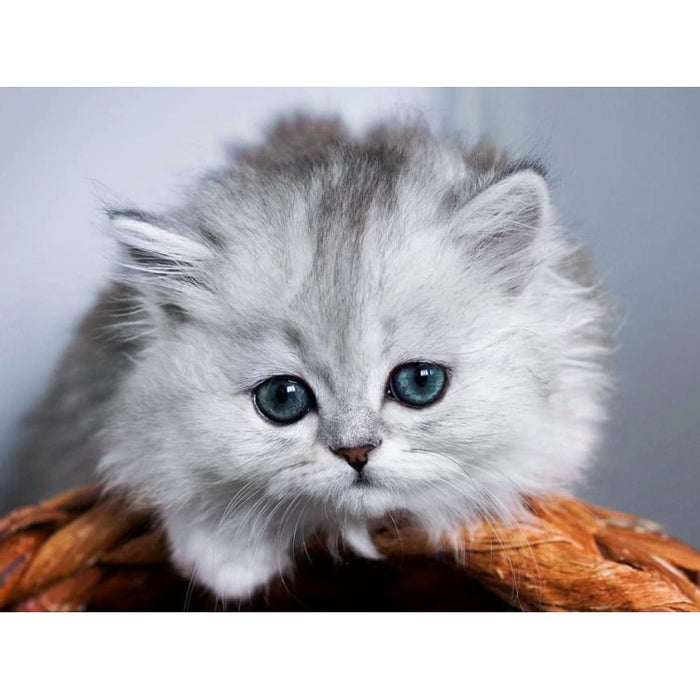 Diamond Painting Kit - LITTLE FLUFFY 40*30 CM WD3001