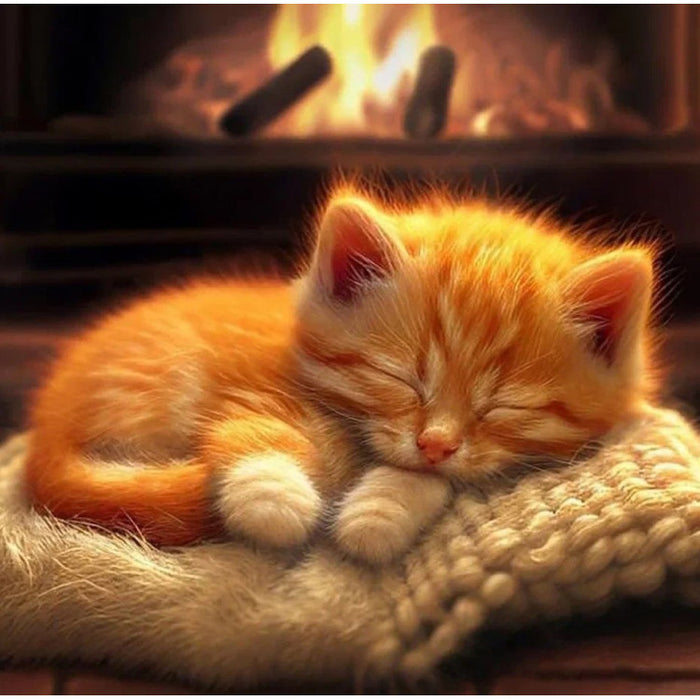 Diamond Painting Kit - "SLEEPING CAT" 30X30 CM WD3072