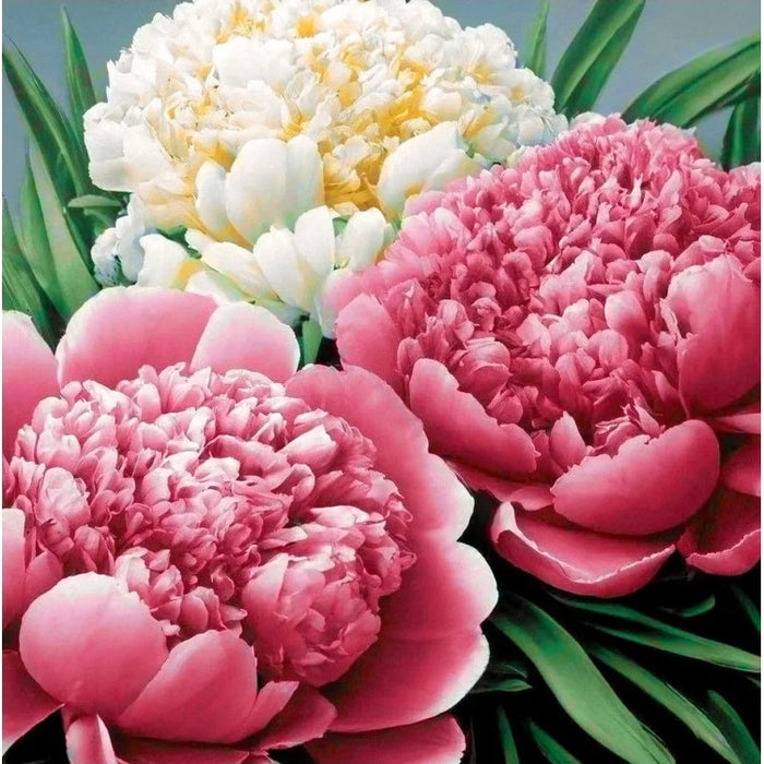 Diamond Painting Kit - "PEONY SCENT" 30X30 CM WD3075 (D)