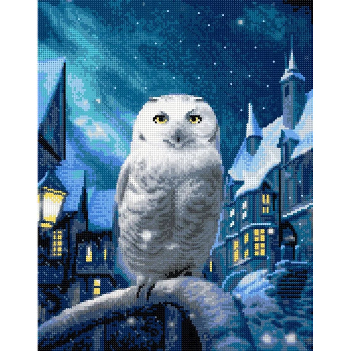 DIAMOND PAINTING WITH SUBFRAME "MAGIC OWL" 40X50 CM DP415