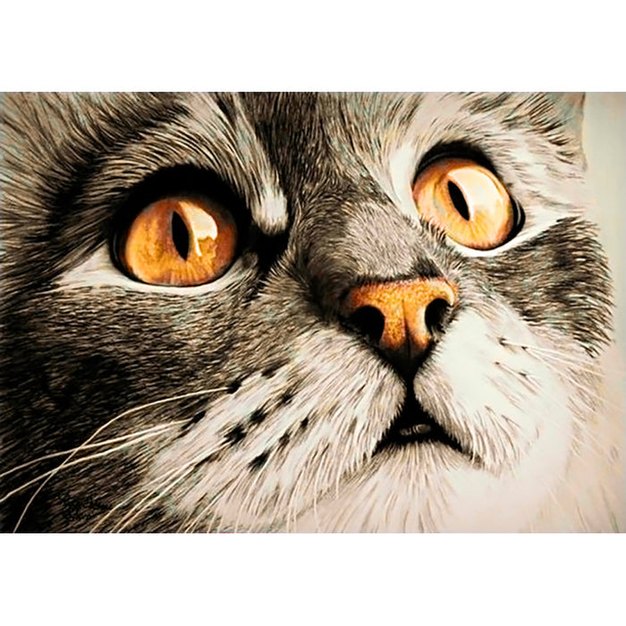 Diamond Painting Kit - SURPRISE 30 _ 20 CM WD215