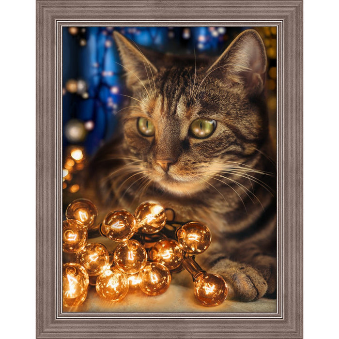 Diamond Painting Kit - FLUFFY RASCAL 30X40 CM AZ-1694