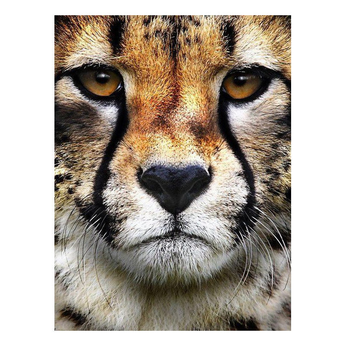 Diamond Painting Kit - HUNTER'S LOOK 15*20 CM WD285