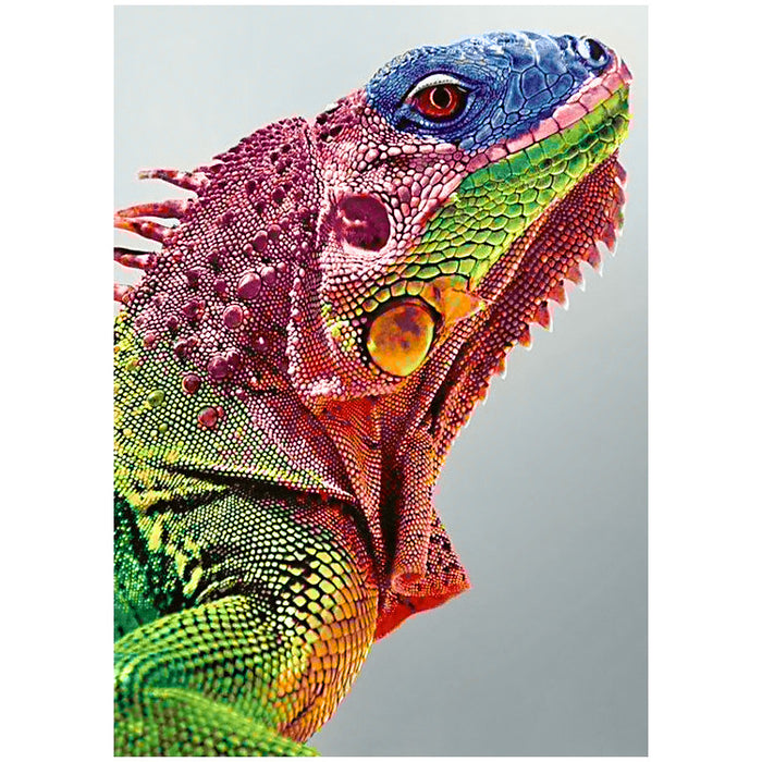 Diamond Painting Kit - IGUANA 27*38 CM WD065 (D)