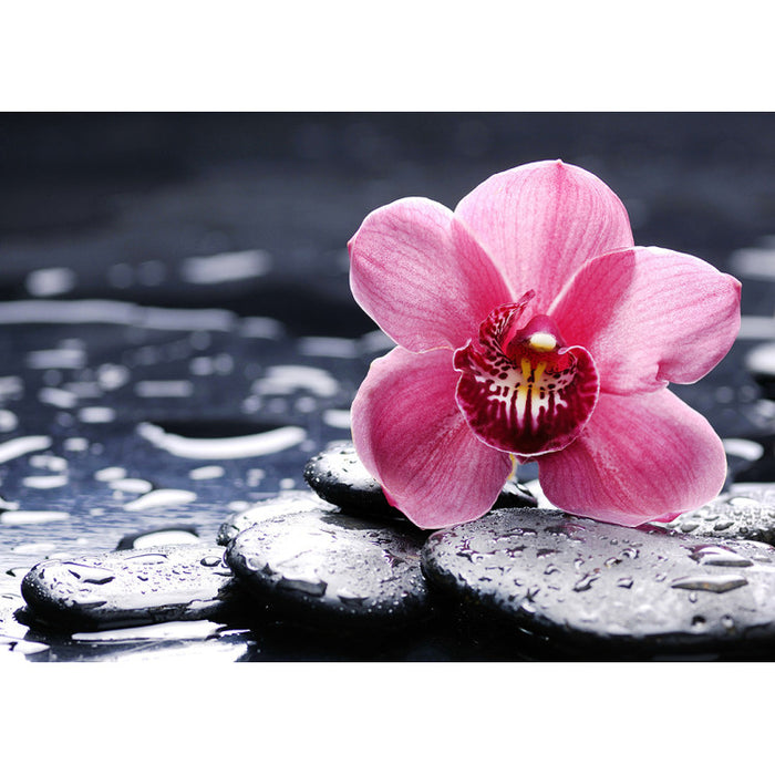 Diamond Painting Kit - ORCHID WANDA 38*27 CM WD035