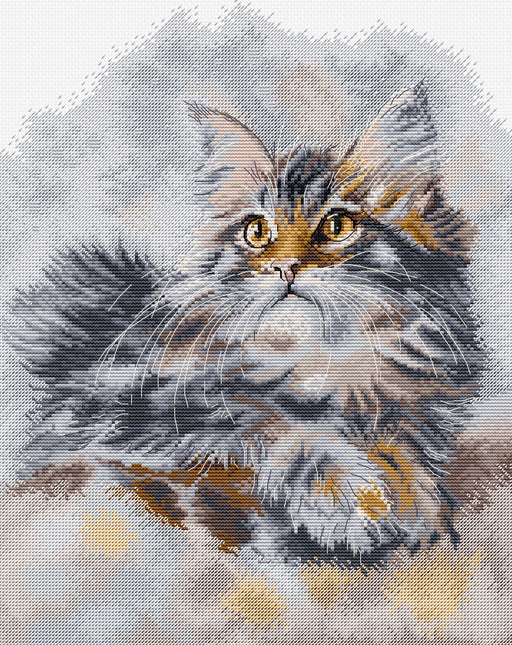 Pattern The Proud Cat, HJ031 HobbyJobby_Pattern - HobbyJobby
