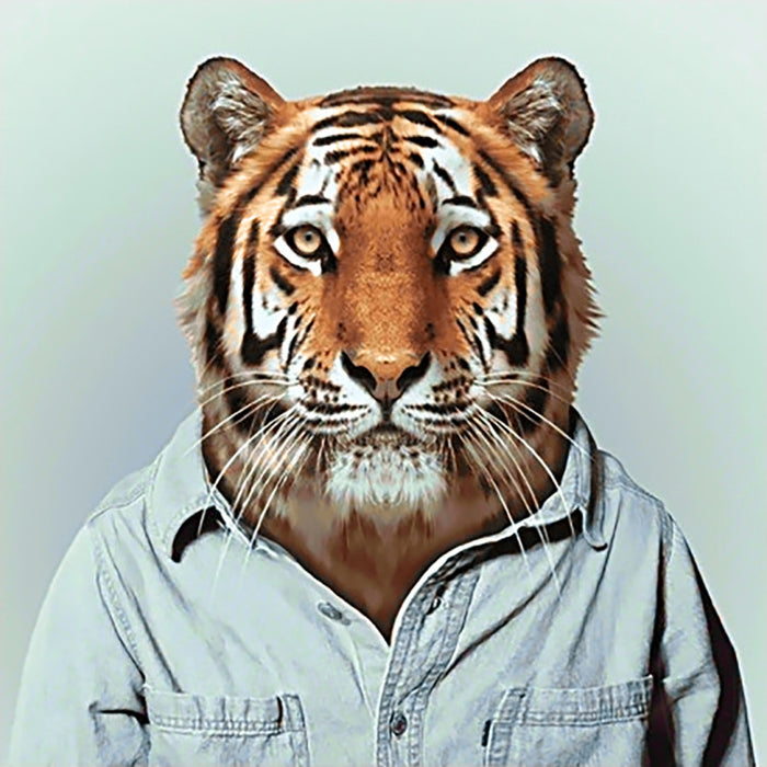 Diamond Painting Kit - MR TIGER 38 _ 38 CM WD258