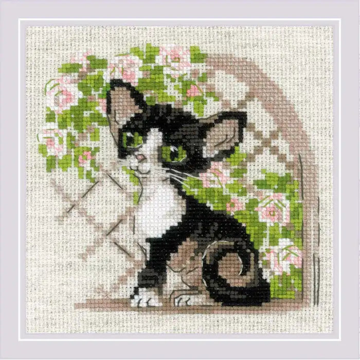 Cross Stitch Kit Riolis - "CORNISH REX KITTEN" 15X15 SR2121
