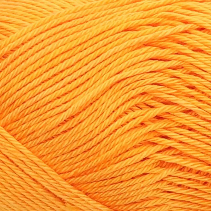 Apricot (299)