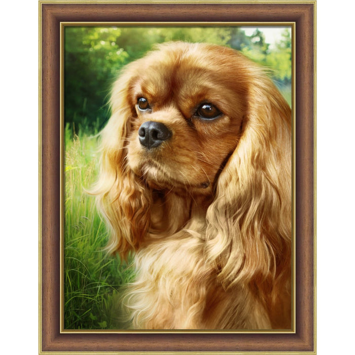 Diamond Painting Kit - SPANIEL 30X40 CM AZ-1792
