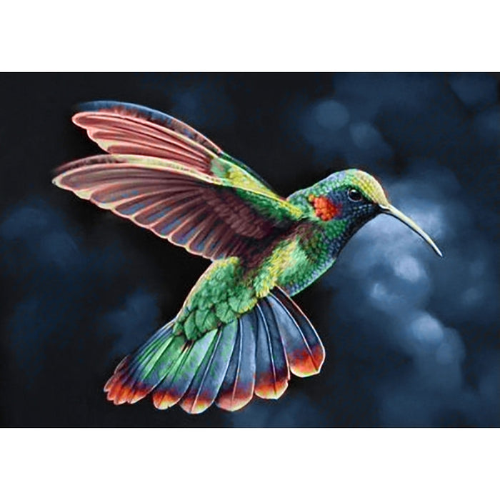 Diamond Painting Kit - TROPIC BIRD 38*27 CM WD058