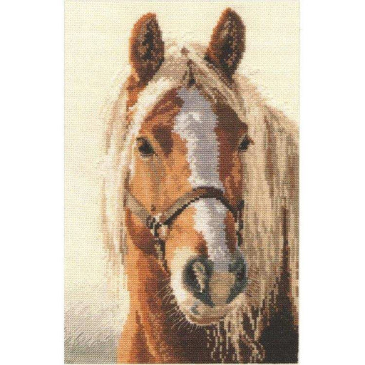 Alisa Cross Stitch Kit - Adel Alisa Cross Stitch Kits - HobbyJobby