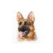 Alisa Cross Stitch Kit - Animal Portraits. Shepherd. Alisa Cross Stitch Kits - HobbyJobby