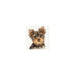 Alisa Cross Stitch Kit - York Alisa Cross Stitch Kits - HobbyJobby