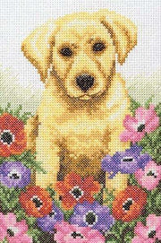 Cross Stitch Kit Anchor - Puppy Cross Stitch Kits - HobbyJobby