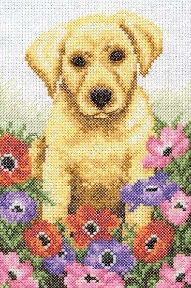 Cross Stitch Kit Anchor - Puppy Cross Stitch Kits - HobbyJobby