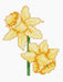 Cross Stitch Kit for Beginners - Kids Embroidery Kit B026 - HobbyJobby
