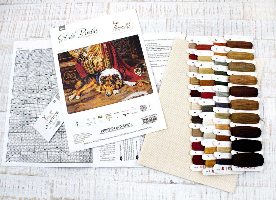 Cross Stitch Kit Luca-S - A Reluctant Companion, B585 - Luca-S