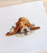 Cross Stitch Kit Luca-S - Basset, B2341 - Luca-S