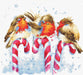 Cross Stitch Kit Luca-S Cross Stitch Kits - HobbyJobby