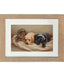 Cross Stitch Kit Luca-S Cross Stitch Kits - HobbyJobby