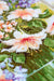 Cross Stitch Kit Luca-S - Flowers by the window, BU4015 - HobbyJobby