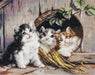 Cross Stitch Kit Luca-S - Friendly Shelter, B520 - Luca-S
