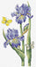 Cross Stitch Kit Luca-S Gold - May Iris - HobbyJobby
