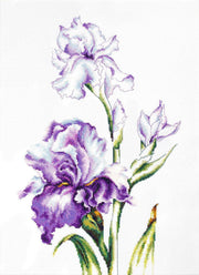 Cross Stitch Kit Luca-S - Irises, B2251 - Luca-S