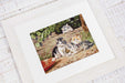 Cross Stitch Kit Luca-S - Kittens, B556 - Luca-S