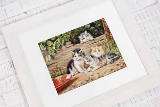 Cross Stitch Kit Luca-S - Kittens, B556 - Luca-S