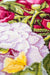 Cross Stitch Kit Luca-S - Peonies Bouquet, B2354 - Luca-S