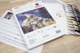 Cross Stitch Kit Luca-S - Snowfall, BU5004 - Luca-S