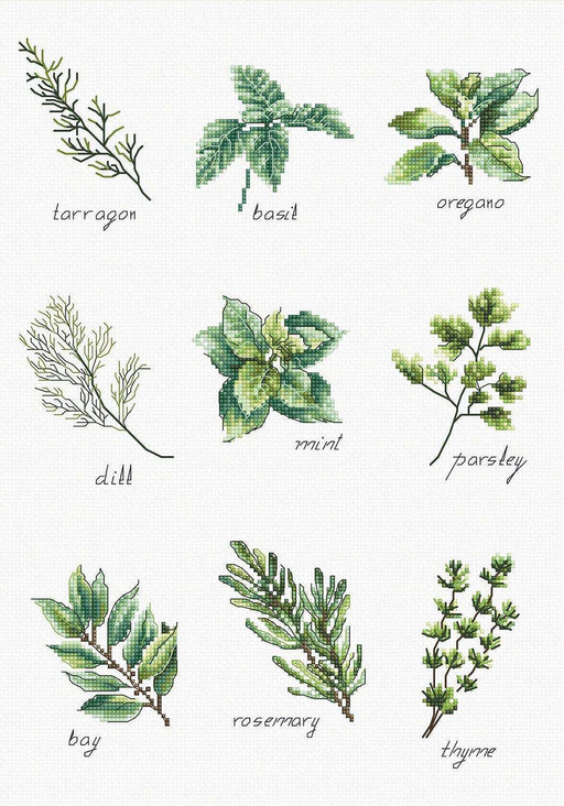 Cross Stitch kit Luca-S - Spices and Herbs, B2345 - HobbyJobby