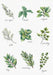 Cross Stitch kit Luca-S - Spices and Herbs, B2345 - HobbyJobby