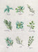 Cross Stitch kit Luca-S - Spices and Herbs, B2346 - HobbyJobby