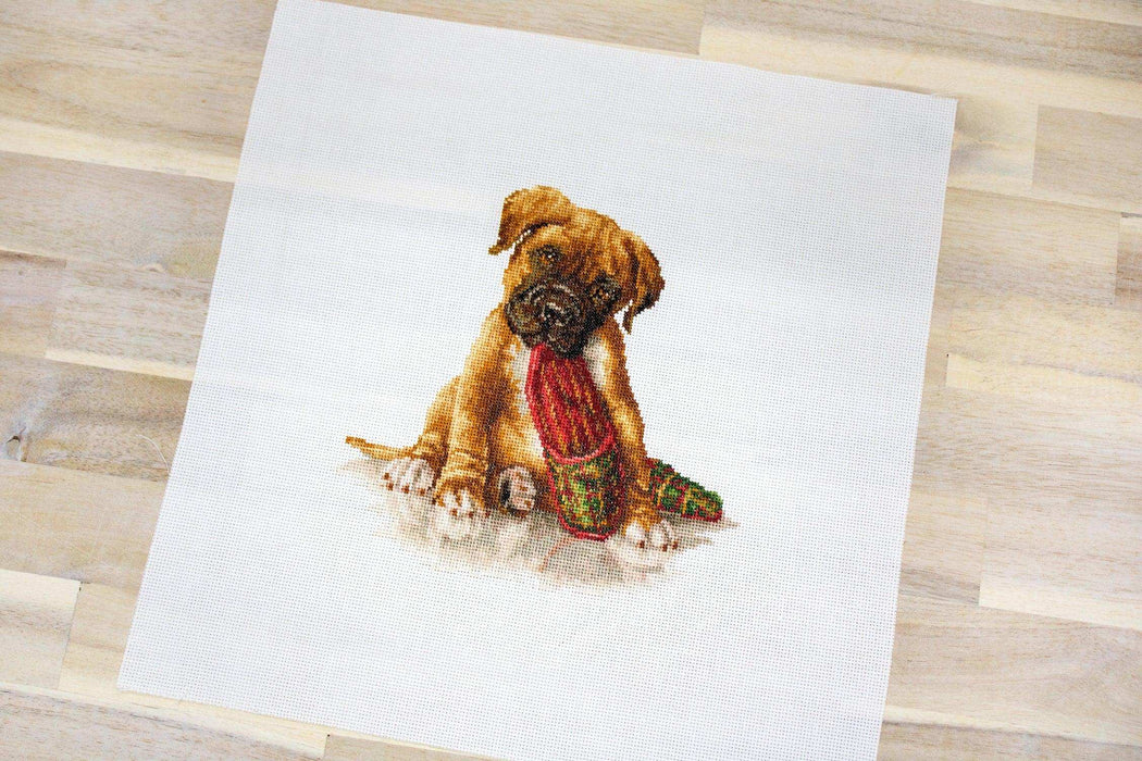 Cross Stitch Kit Luca-S - The Boxe,r B2338 - Luca-S
