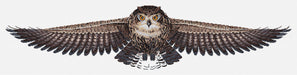 Cross Stitch Kit Luca-S - The Owl, CD005 Cross Stitch Kits - HobbyJobby